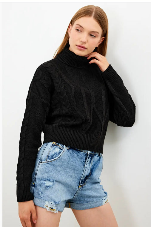 Cropped Cable Turtleneck sweater