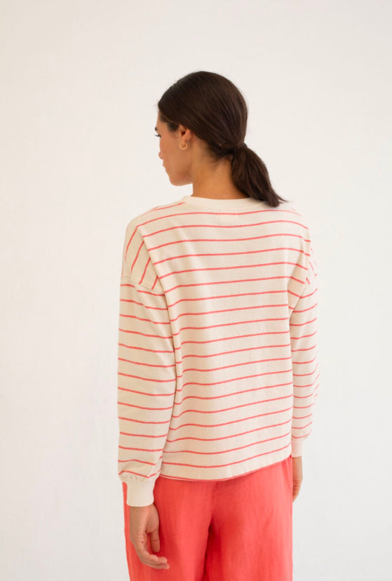 Bahamas Coral Stripes